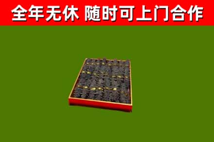 乡城回收海参